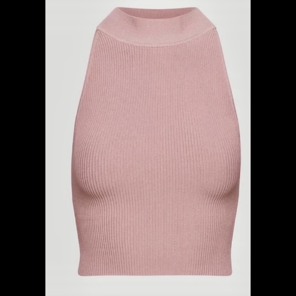 Aritzia Babaton Sculpt knit halter Top in Mauvedust